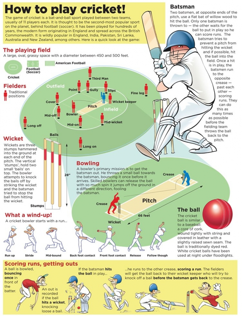 cricket-101